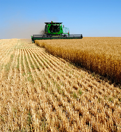 7_AGRICULTURA_E_PECUÁRIA